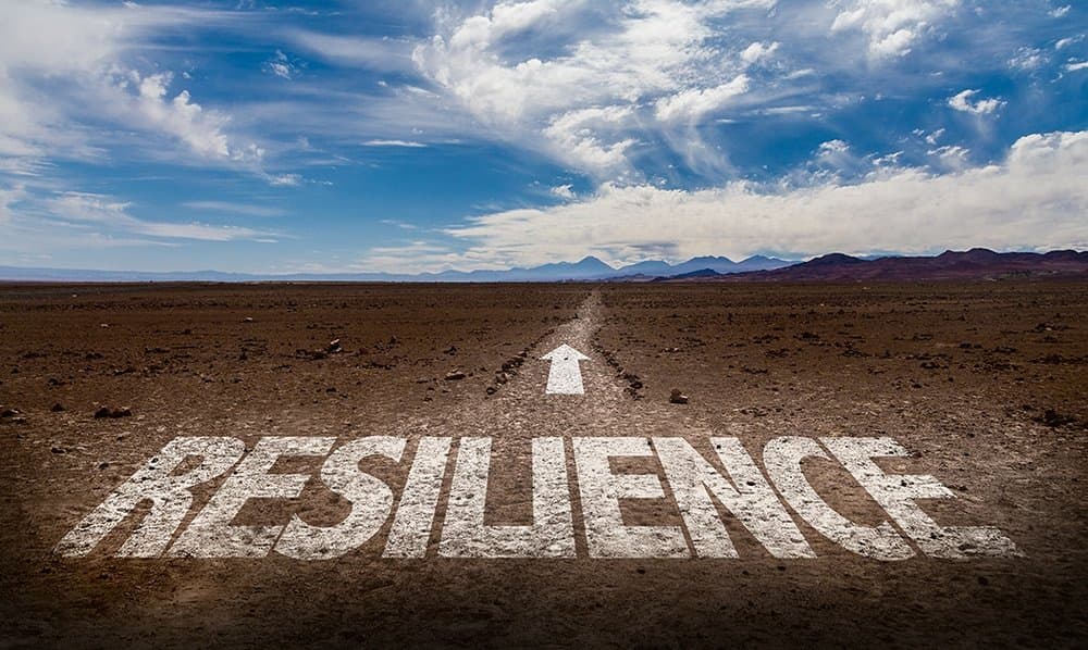 La véritable résilience : Plus qu'une carapace, une boussole intérieure